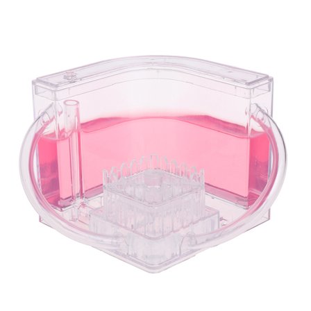 3D Myretue Pædagogisk Labyrint Levende Fødesystem Myrer Habitat Verden Kæledyr Villa