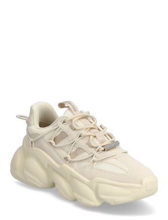 Spectator Cream Steve Madden
