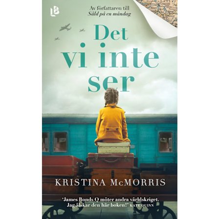 Det vi inte ser 9789177996576