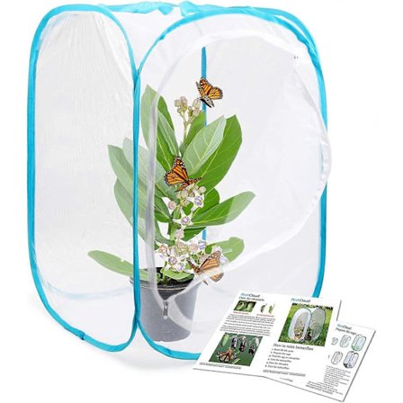 Insekts- och fjärilshabitatbur Terrarium Pop-up 61 cm hög (FMY)