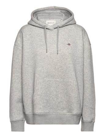 Rel Shield Hoodie Tops Sweatshirts & Hoodies Hoodies Grey GANT