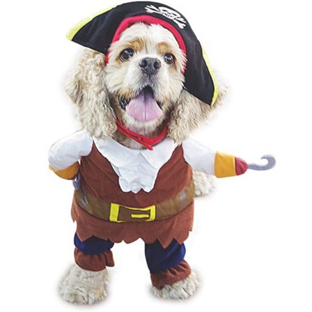 Hundekostyme Pirates of the Caribbean stil hundeklær med pirathatt