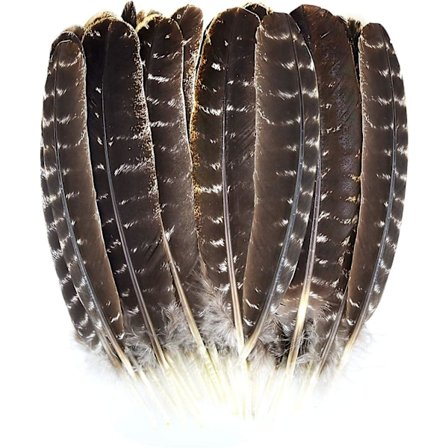 21 stk. naturlige kalkunfjer til gør-det-selv-håndværk, bryllupsfest og boligindretning