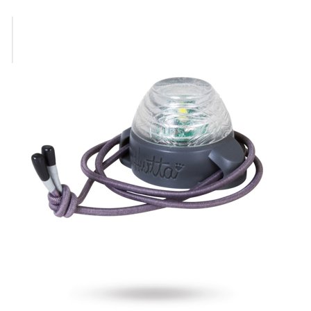 Hurtta - Nordic Led Light Säkerhetslampa - Blackberry - Säkerhetslampor & reflxer till hundar- För stora hundar