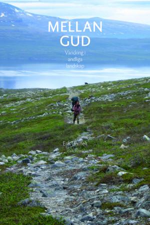 Mellan Gud : vandring i andliga landskap - Bok av Erik Lindfelt - Inbunden