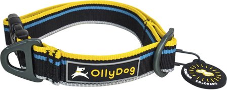 OllyDog Urban Trail Reflective Collar Anthracite