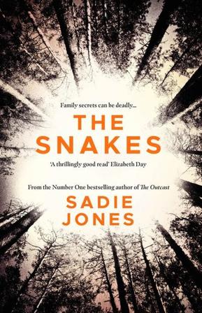 The Snakes - Bok av Sadie Jones - Pocket