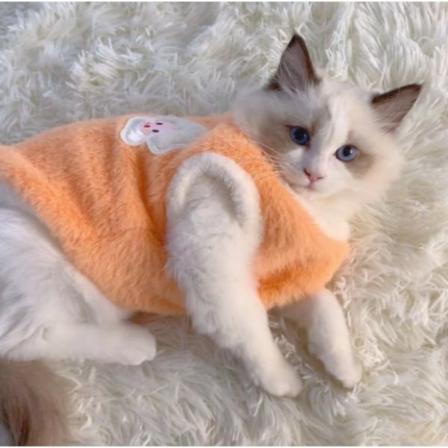 Talven lämmin koiran kissan fleece-neulepusero koiranpentuliiviasu Orange S