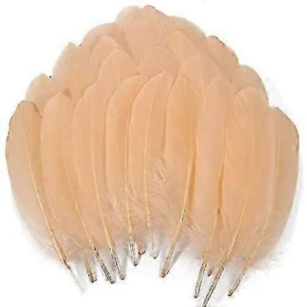 200 stk. Gåse Nagoire Fjær