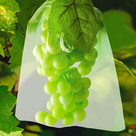 100 fruktbeskyttelsesposer Nettposer Drueklasebeskyttelse mot fugler og insekter Veps Hornets 30 x 20 cm