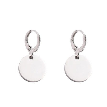 Söt örhänge i rostfritt stål