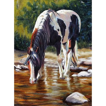 5D timanttimaalaussetti 30x40cm DIY värikäs hevostimanttitaide