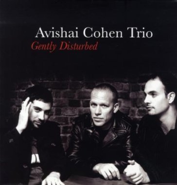 Gently disturbed Cohen Avishai Trio