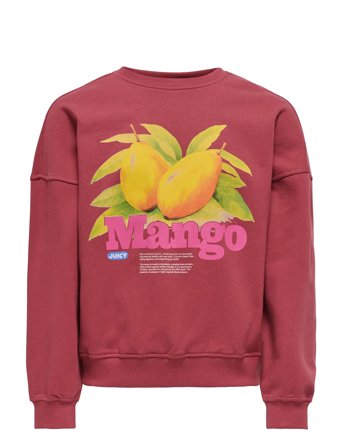 Kogphilea Life L/S Ovzfruit Ck Ub Swt Burgundy Kids Only
