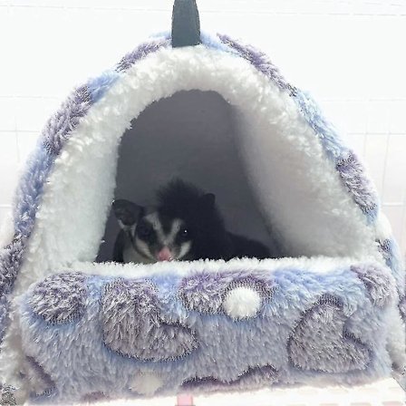 Sping Jyrsijä Pehmolelu Pieni Talo Hamsteri Hammo Lelu Sänky Mökki Marsulle Kani Nlla Fretti