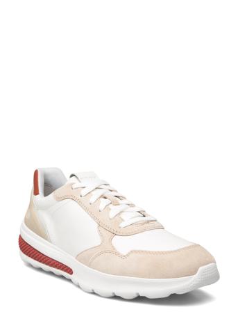 GEOX U Spherica Actif A Vit