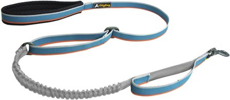 OllyDog Urban Trail Adjustable Spring Leash Air Blue