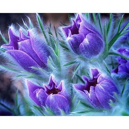 30 x 40 cm, violetti kukka Timanttimaalaus Timanttikirjonta Pai