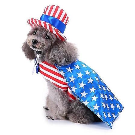 Halloweenin ja joulun lahjat koristeluun lemmikkikoiran tarvikkeet jouluvaatteet hauska Sdz66 american male L