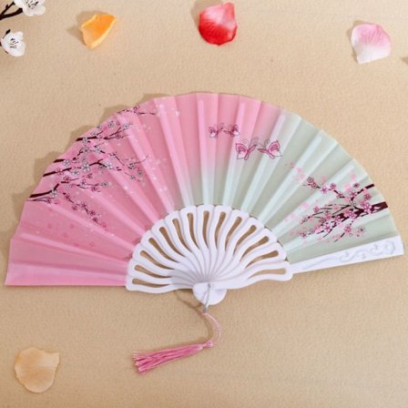 Folding Fan Dance Fans 01 01