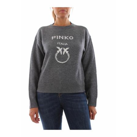 Pinko, Sweatshirt Burgos 1-I42 Szary, Kobieta, Rozmiar: S