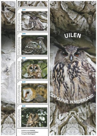 Holland - På safari i Holland: Ugler - Postfrisk miniark