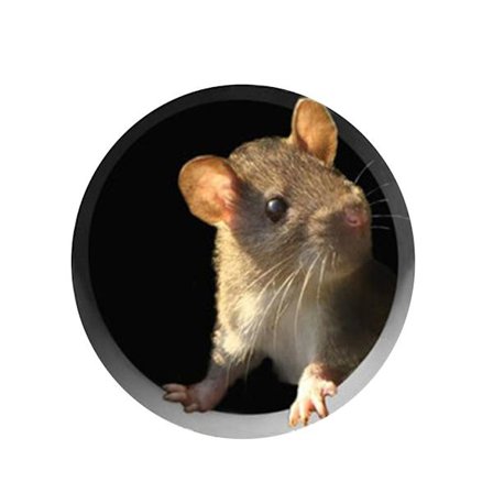 Mouse Hole Wall Decal Mus Wall Sticker Lovely Home Kitchen Decor