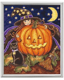 Stickpackung Bild Kürbis