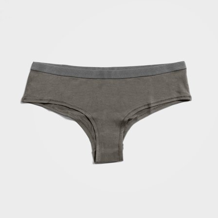Tencel Lyocell Hipster Underwear for Women 2-Pack Sage, Small