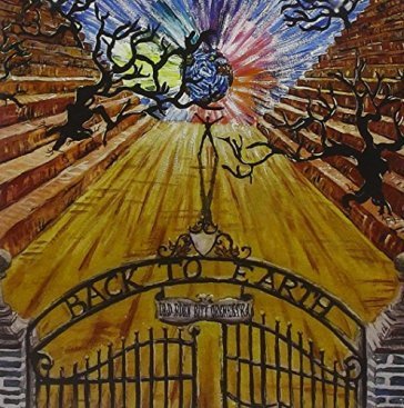 Back to earth OLD ROCK CITY ORCHESTRA