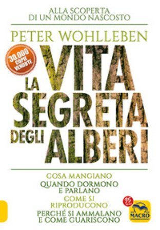 La vita segreta degli alberi. Cosa mangiano. Quando dormono e parlano. Come si riproducono. Perché si ammalano e come guariscono Peter Wohlleben