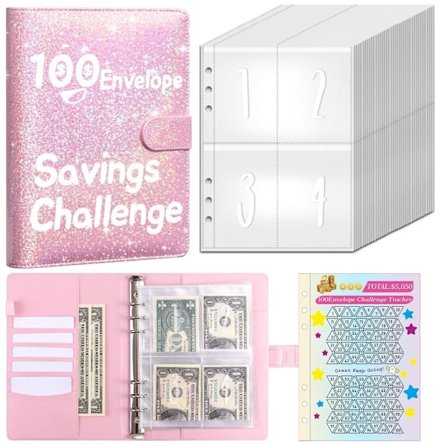 100 Days Savings Challenge Spara Challenge Pärm ROSA