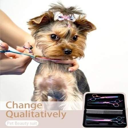 Hundesakser / Sett med trimmesaks, effileringssaks, buet saks, kam Flerfarget—pa