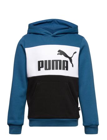 Ess+ Colorblock Hoodie Fl B Huppari Monivärinen/Kuvioitu PUMA