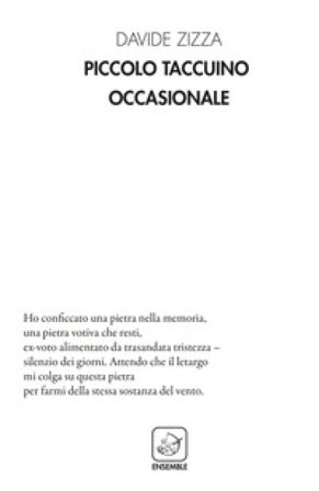 Piccolo taccuino occasionale Davide Zizza