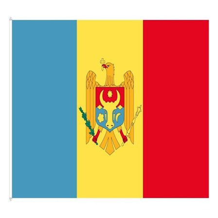 Moldovan lippu 100