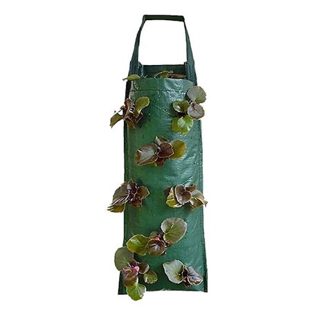 Jordbærdyrkingstilbehør Jordbærplanting Hengende Pose Sterkt Stoff Blomsterhage Plantepose