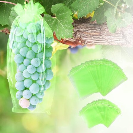 Drueposer, 60 stk 20 x 30 cm og 17 x 23 cm, Plante