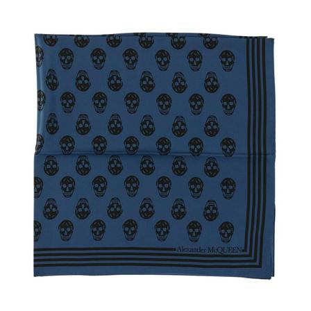 Alexander McQueen, Scarf Blauw, Dames, Maat:ONE Size