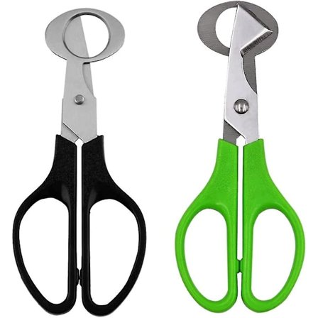 Kyyhkysenmunan sakset, 2 kpl ruostumattomasta teräksestä valmistettuja kyyhkysenmunan saksia, munankuoren leikkaussakset, kotikäyttöön, keittiösakset,