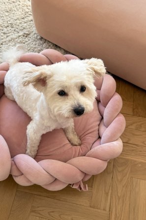 Jotex - Hunde-/katteseng Lys rosa - BRADY - Kjøp Hundeseng/katteseng hos Jotex