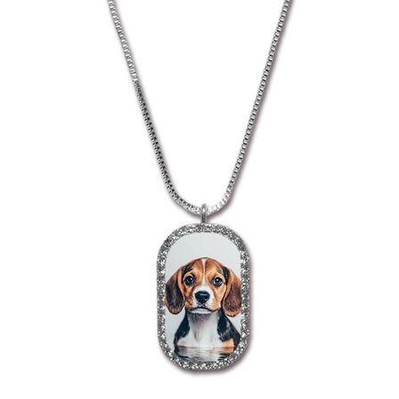 Beagle Hund Halsband