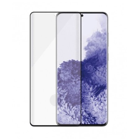 Panzerglass Skärmskydd i Härdat Glas för Samsung Galaxy S21 Ultra 5G - Transparent / Svart