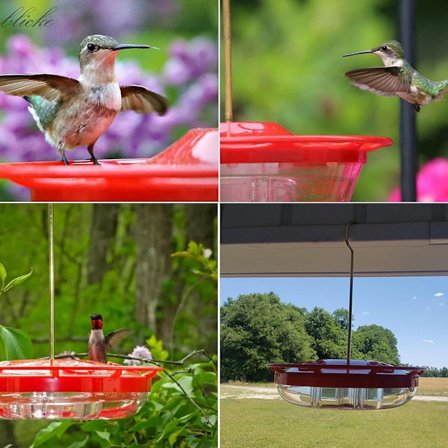 Fuglemater i plast til å henge opp, fuglematestasjon, kolibrifuglekasse KLB