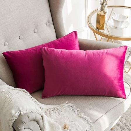 Sett med 2 Dekorative Fløyels Putetrekk Sofa Putetrekk Super Glatt Myk Dekorasjon Hjem Stue Soverom For Sofa 2 Stykker 30x50cm Gul