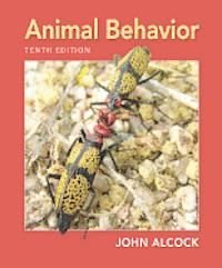 Animal Behavior