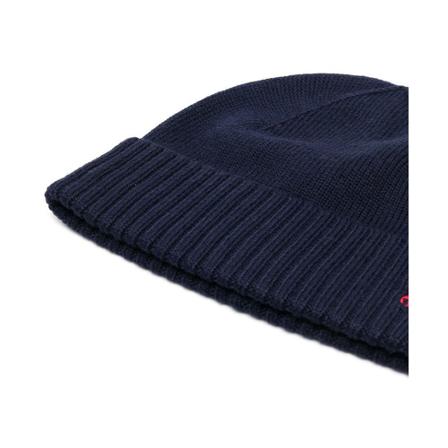 Ralph Lauren, Beanies Blauw, Heren, Maat:ONE Size,wol
