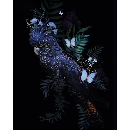 Summer Thornton Kakadua Poster 80cm x 60cm Multifärgad