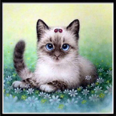 Diamond Painting Fyrkantiga Pärlor 50x50 Cm 5d Diy Djur Katt Multifärg