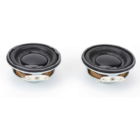 2st 5w 4Ω Stereo Högtalare 4cm Högtalare Horn kompatibel Mini Förstärkare, Jag